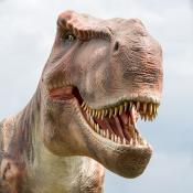 Tyrannosaurus