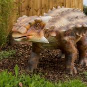 Ankylosaurus