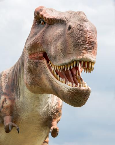 Tyrannosaurus