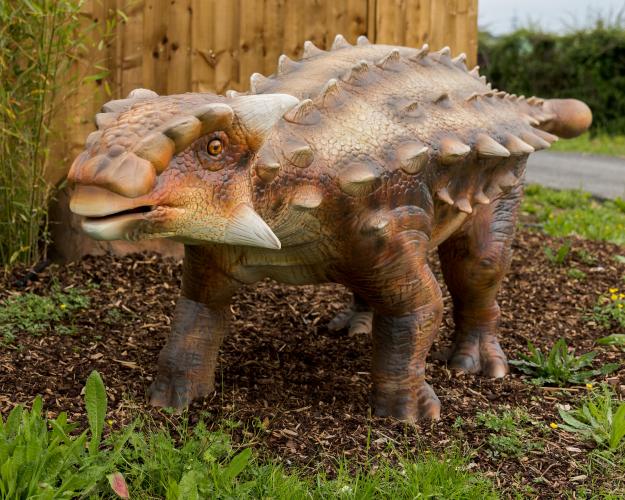 Ankylosaurus