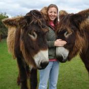 Poitou Donkey jennies 'Salsa' and 'Quenotte'