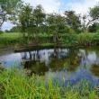 Wildlife Habitat...