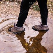 'Puddle Appears at Zoo'...